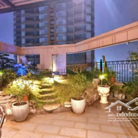 Bán Căn Hộ Sân Vườn Siêu Hiếm Tại R2 Royal Citydiện Tích400M2, Sân Vườn 250M2