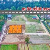 Đất Mặt Biển Hải Thịnh - Biển Đẹp Tắm Được Ngay - Giá Chỉ Từ 11 Triệu