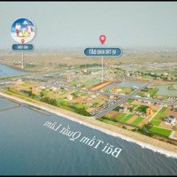 Đất Mặt Biển Hải Thịnh - Biển Đẹp Tắm Được Ngay - Giá Chỉ Từ 11 Triệu