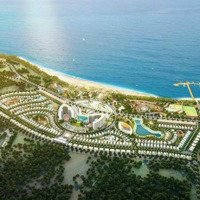 Chính Chủ Cần Tiền Bán Nhanh Lô Đất Thổ Cư Diện Tích 100M2 Tại Quất Lâm, Giao Thủy, Nam Định