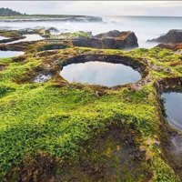 Bán Đất Siêu Hot Tại 702 Thanh Hải, Ninh Hải, Ninh Thuận, 1,6 Tỷ, 312M2