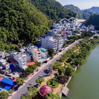 Hàng Hiếm Siêu Hot - Mặt Hồ Tùng Dinh