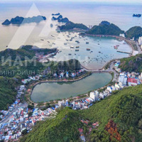 Hàng Hiếm Siêu Hot - Mặt Hồ Tùng Dinh