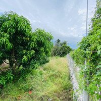Hạ Giá Bán Nhanh Đất Dân Full Thổ Cư View Sông Cam Hoà, Khu Giữ Lại An Toàn Qh2045. 0382535481 Huy