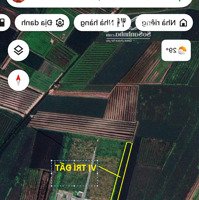 1 Mẫu Đất Mặt Tiền Ql62 Thị Trấn Thạnh Hóa, Huyện Thạnh Hóa, Tỉnh Long An