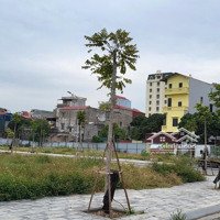 Bán Gấp Đất Nền Dự Án 100M2 Tại Khang Phát Diamond Central, 125 Triệu/M2, Từ Sơn, Bắc Ninh