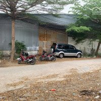 Cho Thuê Kho Dt:25X50=1250M2. Gía 40 Triệu/Tháng.