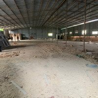 Cho Thuê Kho Dt:25X50=1250M2. Gía 40 Triệu/Tháng.