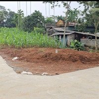 Bán Gấp 4300M2 Có 1800M2 Đã Chia Sẵn 30 Lô Thổ Cư Cách Sân Bay Sao Vàng 19Km