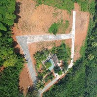 Bán Gấp 4300M2 Có 1800M2 Đã Chia Sẵn 30 Lô Thổ Cư Cách Sân Bay Sao Vàng 19Km