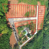 Bán Gấp 4300M2 Có 1800M2 Đã Chia Sẵn 30 Lô Thổ Cư Cách Sân Bay Sao Vàng 19Km