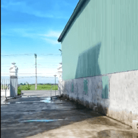 Cho thuê KHO XƯỞNG MỚI 2.000m2 điện 3Fa, CONT đỗ cửa giá chỉ 50k/m tại Quỳnh Phụ, Thái Bình.