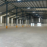 Cho Thuê Kho, Nhà Xưởng Tại Thới Hòa, Bến Cát, Bình Dương, 250 Triệu, 5000 M2