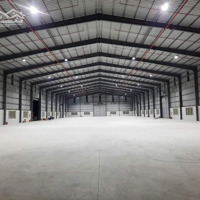 Cho Thuê Nhà Xưởng 1800M2 Và 4980M2 Tiêu Chuẩn Quốc Tế, Có Xử Lý Nước Thải Ở An Lão, Hải Phòng
