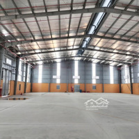 Cho Thuê Nhà Xưởng 1800M2 Và 4980M2 Tiêu Chuẩn Quốc Tế, Có Xử Lý Nước Thải Ở An Lão, Hải Phòng