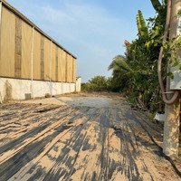 Chính Chủ Bán Đất Tặng Kèm Kho Xưởng Mặt Tiền Đường Lộ Nhựa Ql91 Mỹ Phú - Châu Phú , An Giang. Shr