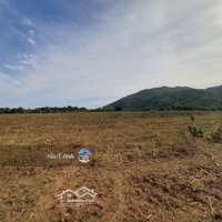 Bán Đất Trồng Cây Lâu Năm Liên Sơn 2 Phước Vinh, Ninh Phước, Ninh Thuận,Diện Tích2Ha, Giá Bán: 1,85 Tỷ