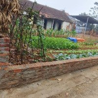 Cc Cần Bán Nhanh Mảnh Đất Đẹp Tại Xuân Đồng Tân Minh
