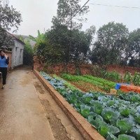 Cc Cần Bán Nhanh Mảnh Đất Đẹp Tại Xuân Đồng Tân Minh