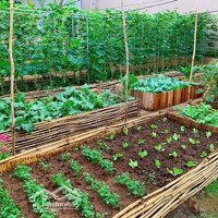 Đất Vườn Tại Chùa Thầy Sài Sơn