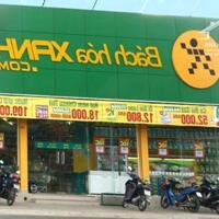 BÁN RẺ NHÀ ĐẤT AN HÒA, SỔ HỒNG THỔ CƯ GẦN BÁCH HÓA XANH, CHỢ BẾN GỖ