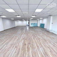 Cho Thuê Nhà Trường Sơn, Khu Sân Bay, Q.tân Bình, 8X18M, 5 Tầng, Thang Máy Cuối Nhà, Sàn Trống Suốt