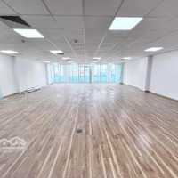 Cho Thuê Nhà Trường Sơn, Khu Sân Bay, Q.tân Bình, 8X18M, 5 Tầng, Thang Máy Cuối Nhà, Sàn Trống Suốt