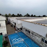 Cho Thuê Nhà Xưởng Và Nhà Văn Phòng Đầy Đủ Tiện Nghi Tại Phường 9 Thành Phố Mỹ Tho Tiền Giang