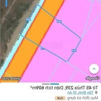 Bán Lô Đất Vườn Hơn 600M Ngang 20M, Sát Đường Bùi Thị Xuân, Tân Bình