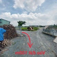 Bán Lô Đất Vườn Hơn 600M Ngang 20M, Sát Đường Bùi Thị Xuân, Tân Bình