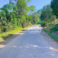 Lô Đất Siêu Nghỉ Dưỡng Hoặc Làm Camping Trại Hè. Kho Xưởng . Đều Hợp Lýdiện Tích1,9Ha . Có 800M2 Đất Ở.