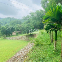 Lô Đất Siêu Nghỉ Dưỡng Hoặc Làm Camping Trại Hè. Kho Xưởng . Đều Hợp Lýdiện Tích1,9Ha . Có 800M2 Đất Ở.
