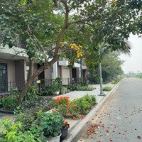 Bán Nhà Mặt Phố Tại Đường 824, Xã Mỹ Hạnh Nam, Đức Hòa, Long An, Giá Tốt 1,5 Tỷ, 85M2