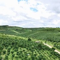 Lốc 22 Lô Thổ Cư, Đường Nhựa 10M Lộc Quảng, Giá F0 Rẻ Nhất Khu Vực, View Thoáng Đẹp