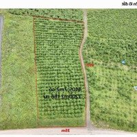 Lốc 22 Lô Thổ Cư, Đường Nhựa 10M Lộc Quảng, Giá F0 Rẻ Nhất Khu Vực, View Thoáng Đẹp