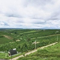Lốc 22 Lô Thổ Cư, Đường Nhựa 10M Lộc Quảng, Giá F0 Rẻ Nhất Khu Vực, View Thoáng Đẹp