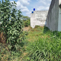 Cần Tiền Bán Đất Chợ Chiều Ấp 4 Đức Hoà Đông Sổ Hồng, Dân Đông, 950 Triệu