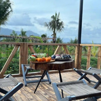 Farm Đẹp Có Sẵn Nhà Vườn, 5,952M Đất Cây, Địa Thế Đất Đồi Đẹp, Không Khi Trong Lành, Chỉ 8,9 Tỷ