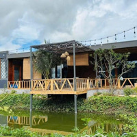 Farm Đẹp Có Sẵn Nhà Vườn, 5,952M Đất Cây, Địa Thế Đất Đồi Đẹp, Không Khi Trong Lành, Chỉ 8,9 Tỷ
