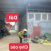Bán Đất 60M2 Full Thổ Cư Tại Trung Tâm Xã Đông Yên, Quốc Oai, Hn