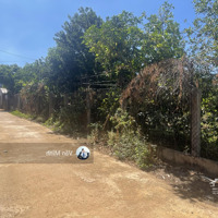 Tà Nung, Đà Lạt, 716M2 (200M2 Đất Ở) Ngang 29,3M Đường 4,5M, Tách Được 2 Lô Chỉ 5 Tỷ