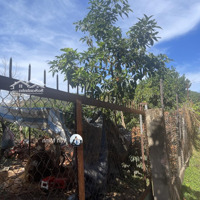 Tà Nung, Đà Lạt, 716M2 (200M2 Đất Ở) Ngang 29,3M Đường 4,5M, Tách Được 2 Lô Chỉ 5 Tỷ