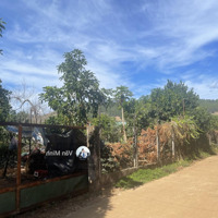 Tà Nung, Đà Lạt, 716M2 (200M2 Đất Ở) Ngang 29,3M Đường 4,5M, Tách Được 2 Lô Chỉ 5 Tỷ