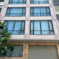 Cho Thuê Nhà Đẹp, Vị Trí Đắc Địa, Khu K300, Q. Tân Bình, Dt: 10X20M, 1 Trệt 3 Lầu