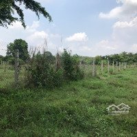 Cần Bán Đất Ở Sông Xoài, Phú Mỹ, Bà Rịa - Vũng Tàu