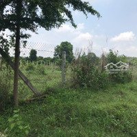 Cần Bán Đất Ở Sông Xoài, Phú Mỹ, Bà Rịa - Vũng Tàu