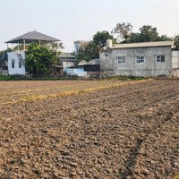Bán Đất Tại Phúc Hòa, Phúc Thọ, Hà Nội, Giá Cực Chất 720 Triệu, 720 M2