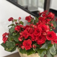 Bán Đất Đường Ven Biển Sơn Trà Điện Ngọc Giá Tốt Nhất Thị Trường