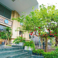 Chưa Đến 1 Tỷ Sở Hữu Ngay Căn Hộ Cao Cấp 2 Phòng Ngủ Sẵn Sổ Với Dòng Tiền Cho Thuê Hàng Tháng 8. 3 Triệu