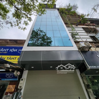 Nhà Cho Thuê Khu Bàu Cát, Q.tân Bình, Dt: 5,5X20M, 1 Trệt 5 Lầu, Ốp Kính Sang Trọng